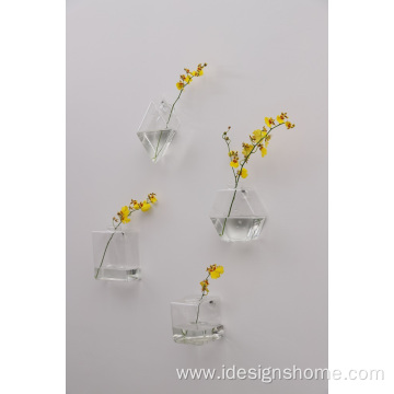 Glass Plant Containers Wall Vase